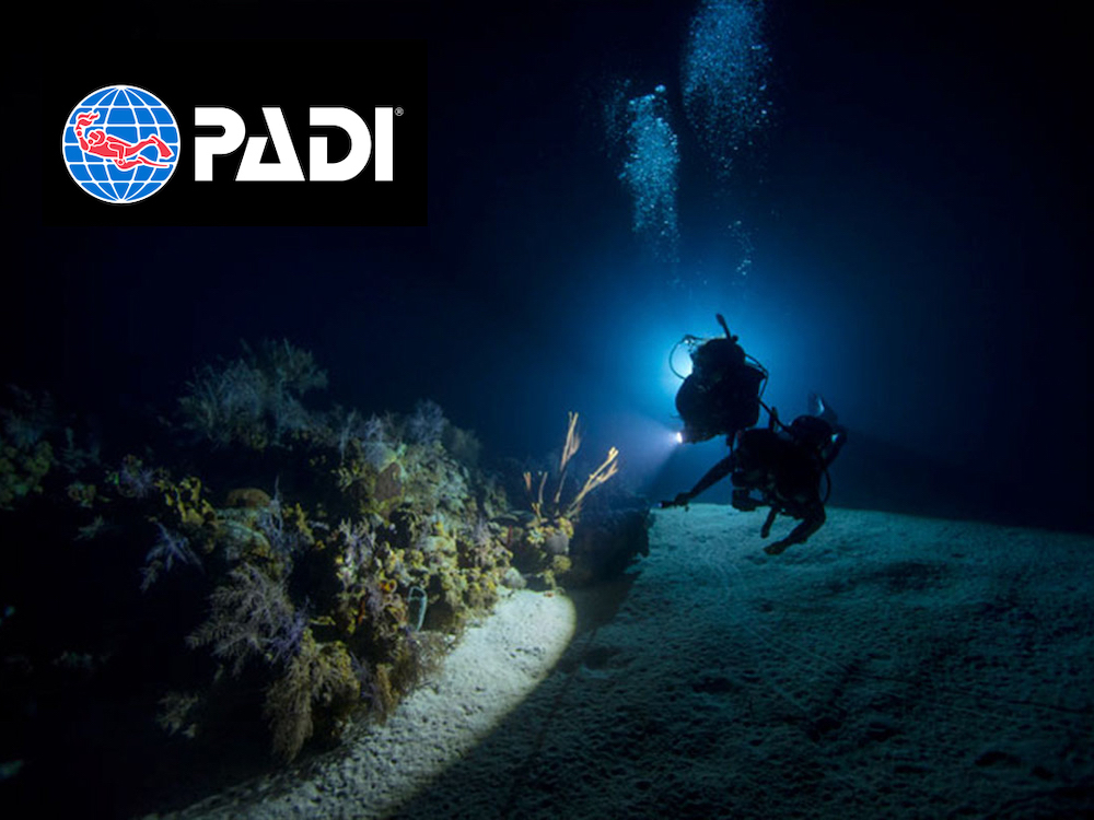 PADI Night diver specialty poster